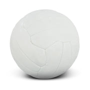 Netball Pro