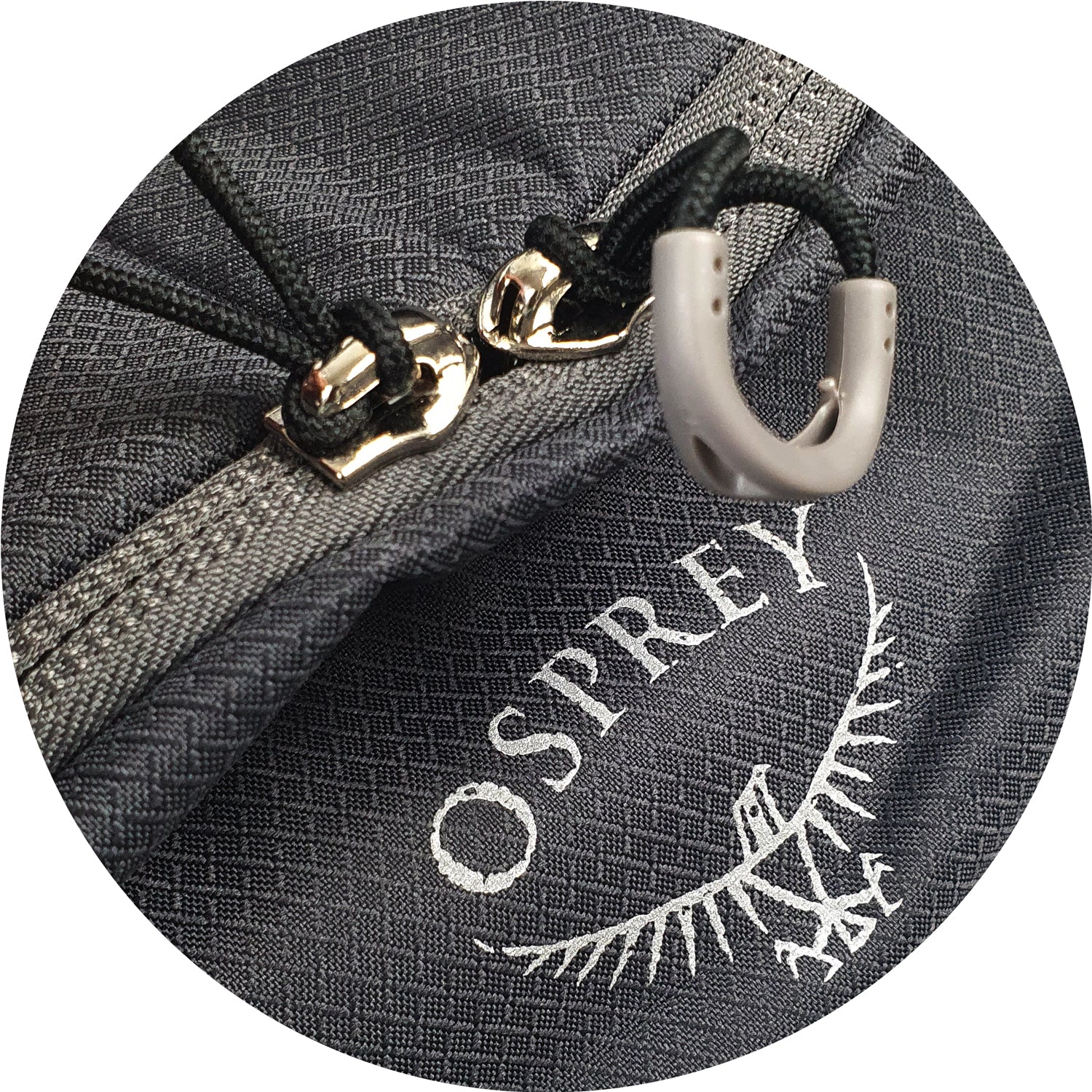 Osprey Detail